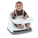 Ingenuity Baby Base 2 in 1 Seat - Mist