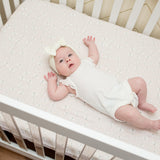Lulujo Muslin Cotton Fitted Crib Sheet - Dragonfly