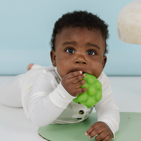Doddle & Co. Poppable Chew Teether - Slow Poke