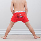 Zoocchini Boy's 3-Piece Fish, Crab and Croc Boxers (2T-3T)